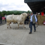 WCC Nagy-Britannia 2012 - DZ